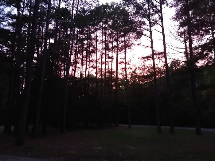 The Pines Campground Picture 8