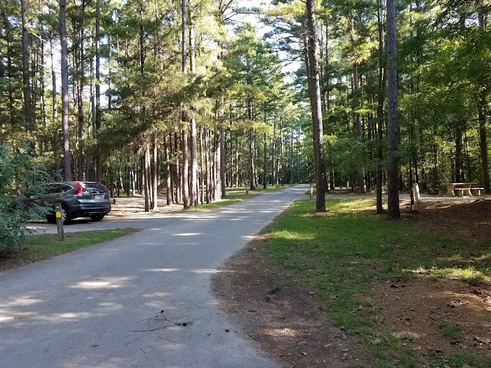 The Pines Campground Picture 2