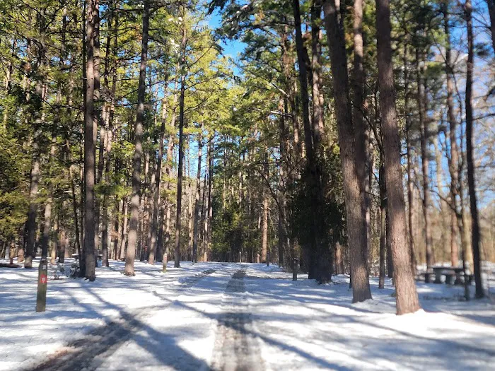 The Pines Campground Picture 7