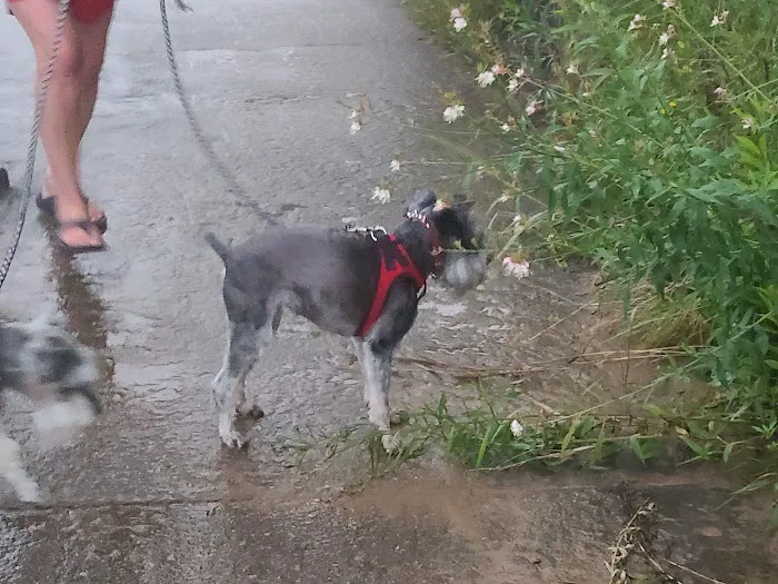 Riverview Campground Picture 3