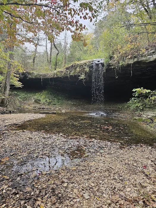 Riverview Campground Picture 6