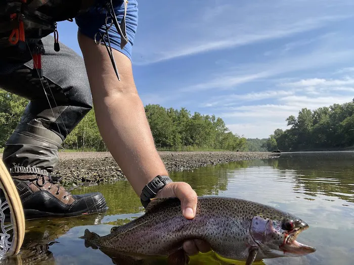 Riverview Campground Picture 2