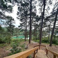 Beaver Lake Cabin ico