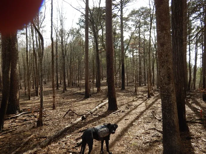 Redding Recreation Area Picture 5