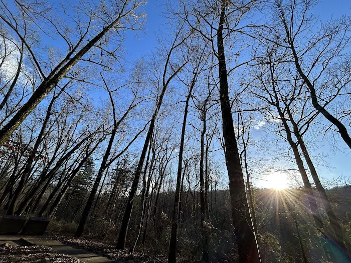Redding Recreation Area Picture 4
