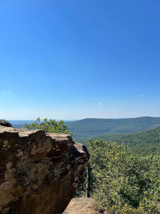 Pig Trail Lodging & RV Park Picture 6