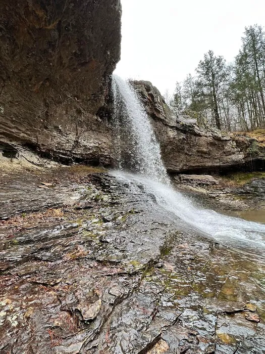 Pig Trail Lodging & RV Park Picture 5