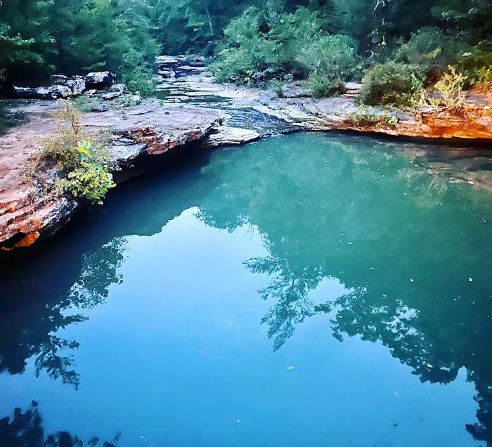 Mill Creek Outfitters Picture 4