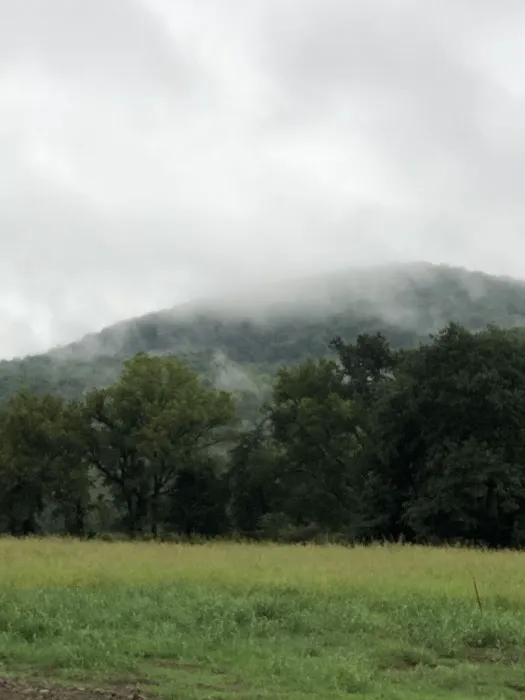 Bleau Valley Picture 2