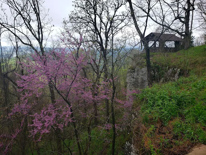 White Rock Mountain Campground Picture 8