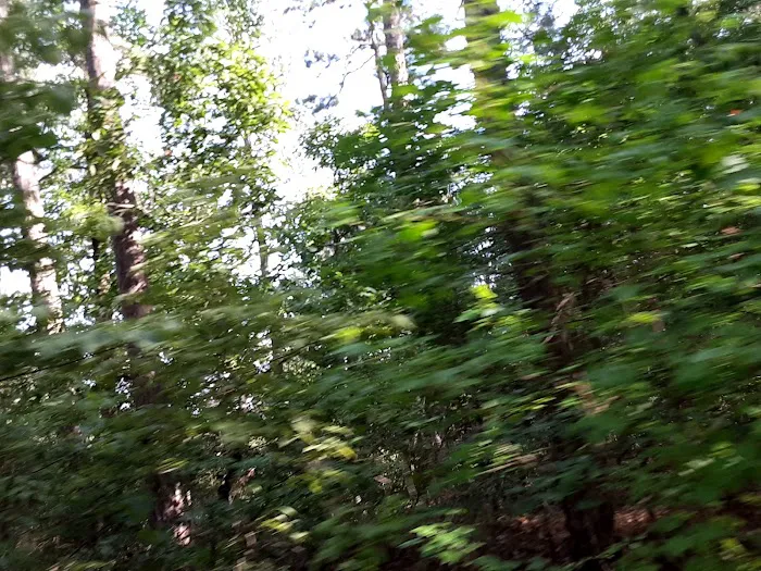 Jack Creek Recreation Area Picture 8