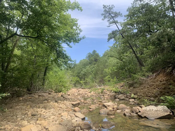 Jack Creek Recreation Area Picture 10