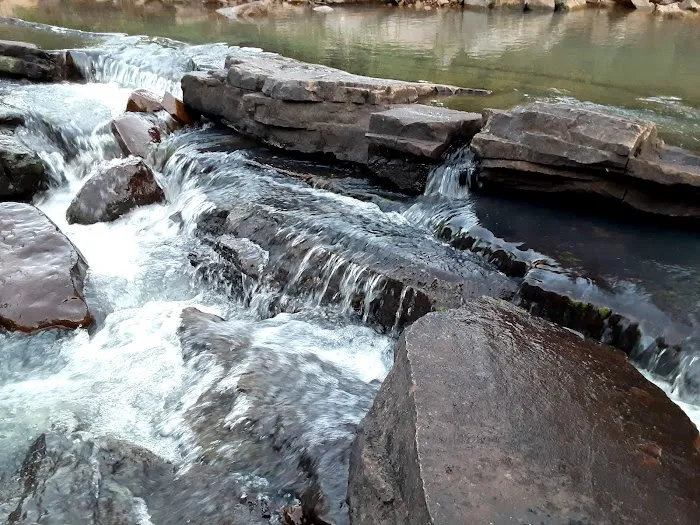 Jack Creek Recreation Area Picture 7