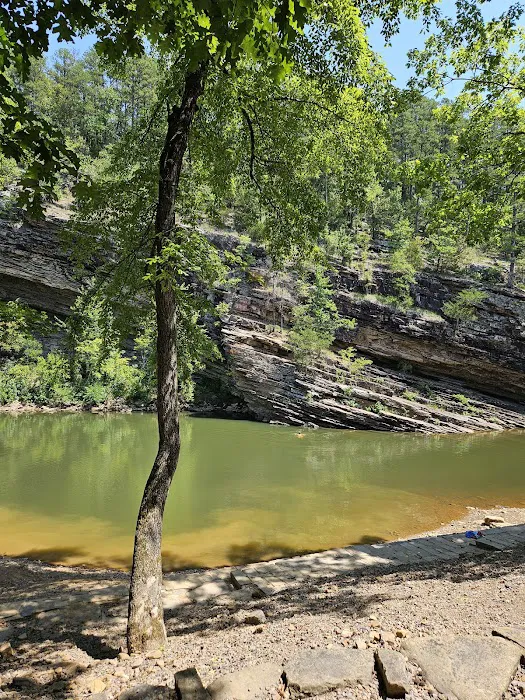 Jack Creek Recreation Area Picture 5