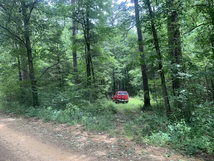 Jack Creek Recreation Area Picture 9