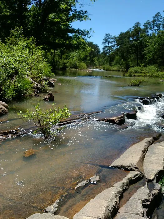 Knoppers Ford Picture 6