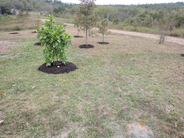 Witch Academy Picture 3