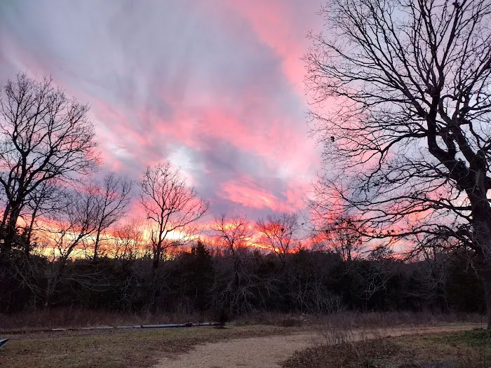 Witch Academy Picture 1