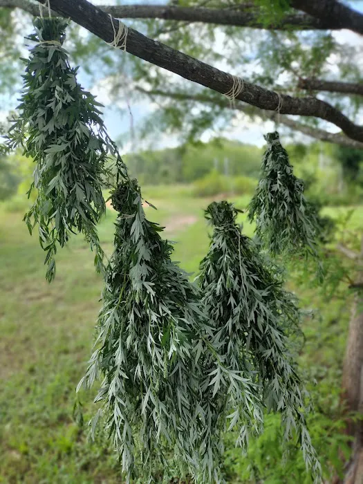 Witch Academy Picture 4