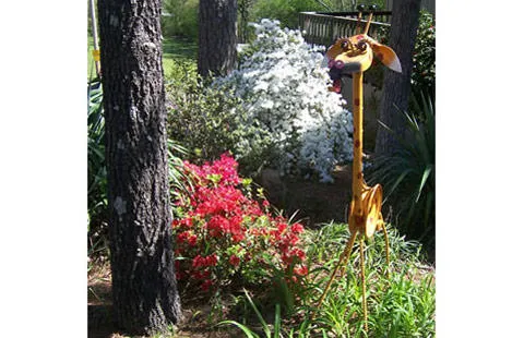 Hot Springs National Park KOA Holiday Picture 9