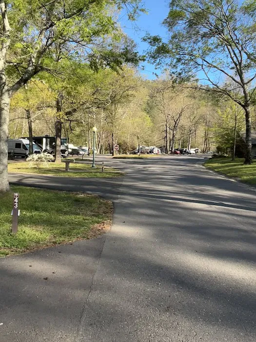 Gulpha Gorge Campground Picture 5