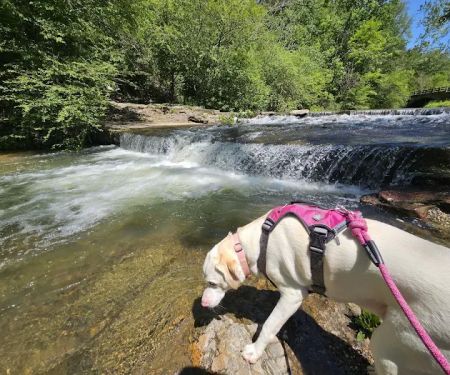 Gulpha Gorge Campground