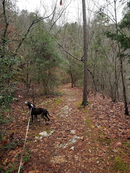 Gulpha Gorge Campground Picture 2