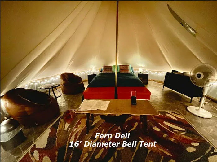 Camp Wildcat - Secluded Glamping by Reservation Picture 8
