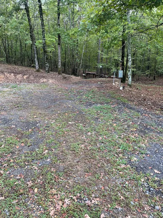 The Ponds RV Park Picture 1