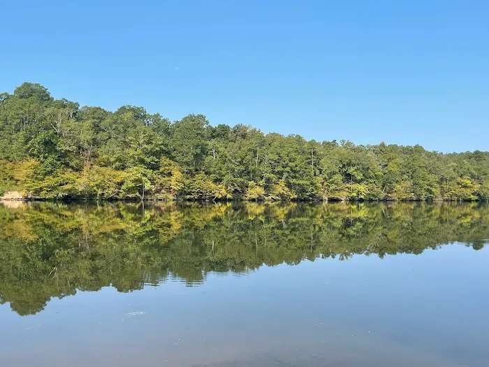 The Vista at the Lake Picture 5