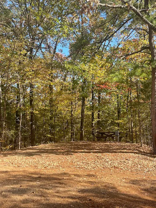 The Vista at the Lake Picture 7