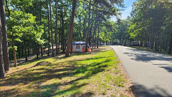 Brady Mountain Recreational Area Picture 7