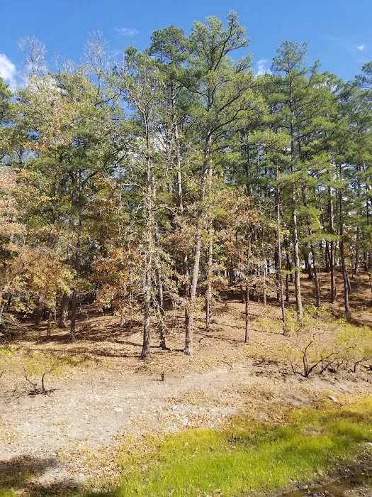Crystal Springs Campground Picture 9