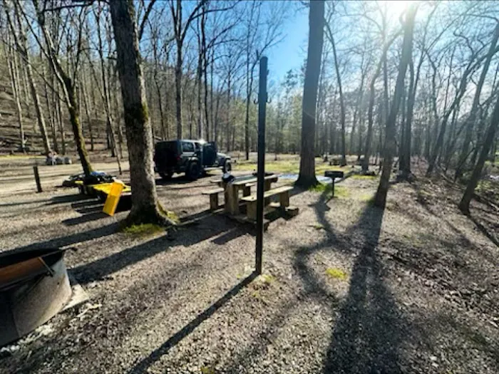 Camp Site C19 Picture 2