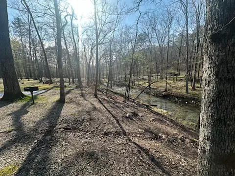 Camp Site C19 Picture 1