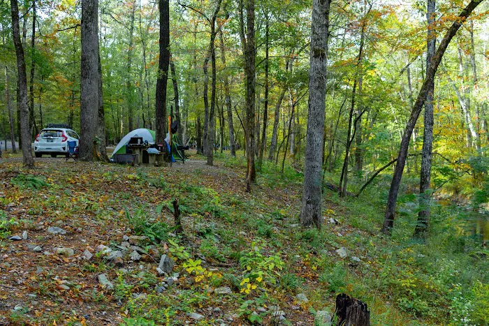 Camp Site C19 Picture 7