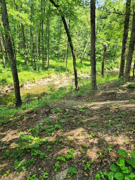 Camp Site C19 Picture 10