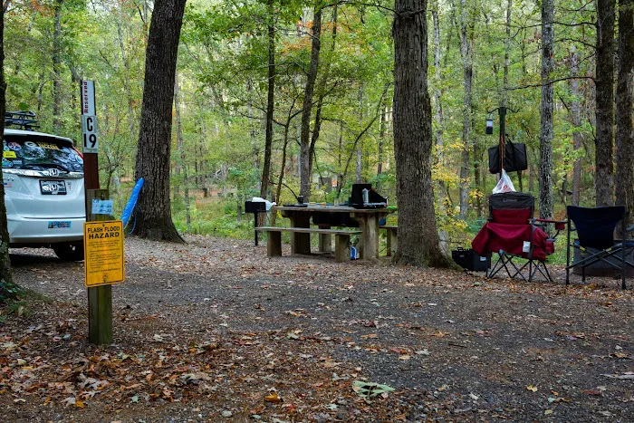 Camp Site C19 Picture 8