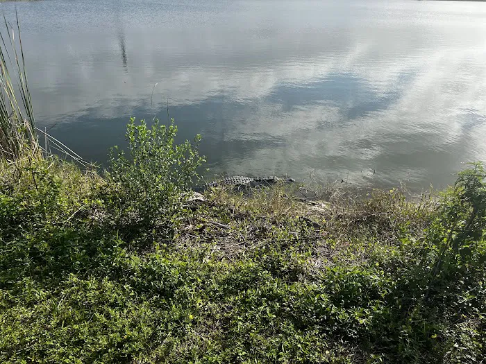 Monument Lake Campground Picture 8