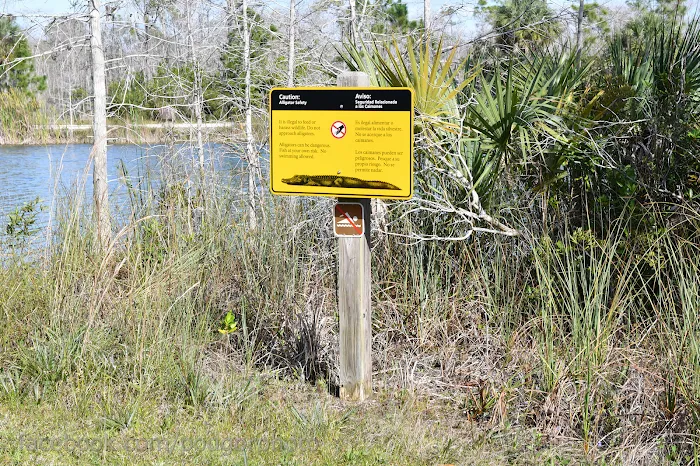 Burns Lake Campground Picture 10