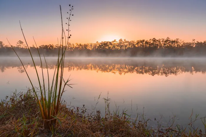 Burns Lake Campground Picture 1