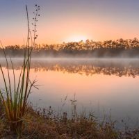 Burns Lake Campground ico