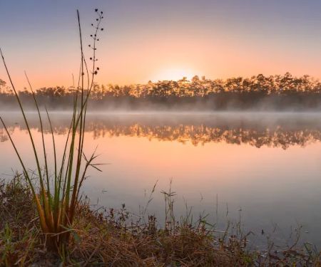 Burns Lake Campground