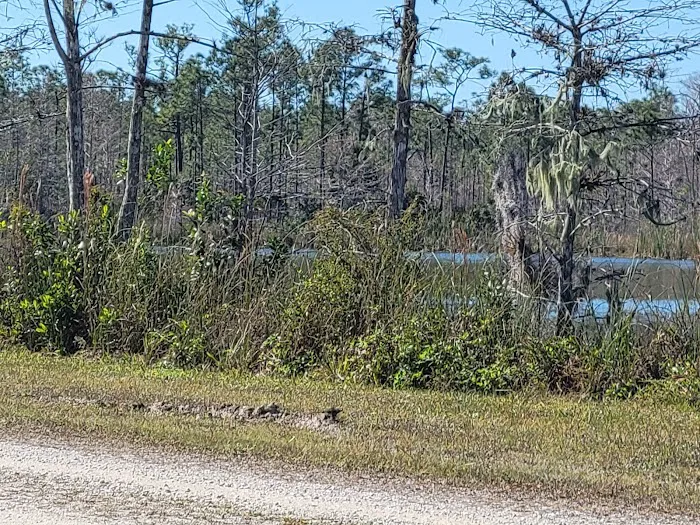 Burns Lake Campground Picture 2