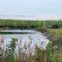 Midway Campground ico