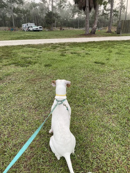 Picayune Strand State Forest Campground Picture 10