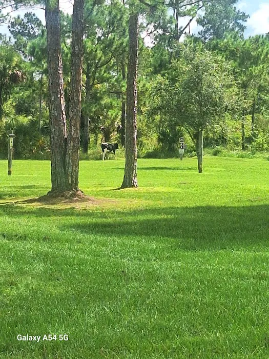 Picayune Strand State Forest Campground Picture 9