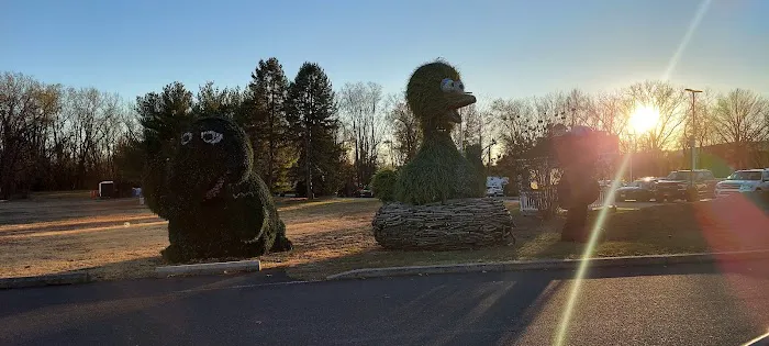 Picayune Strand State Forest Campground Picture 1