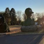 Picayune Strand State Forest Campground