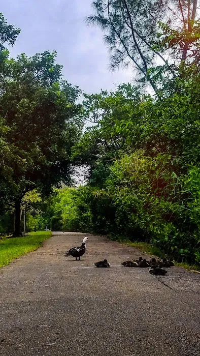 Holiday Park Picture 8